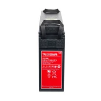 Аккумулятор CSB TPL 121250A