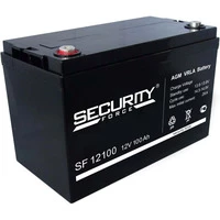 Аккумулятор Security Force SF 12100 Аккумулятор Security Force SF 12100