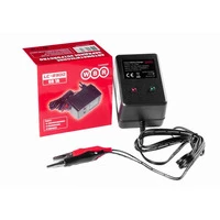 Зарядное устройство WBR LC-2300